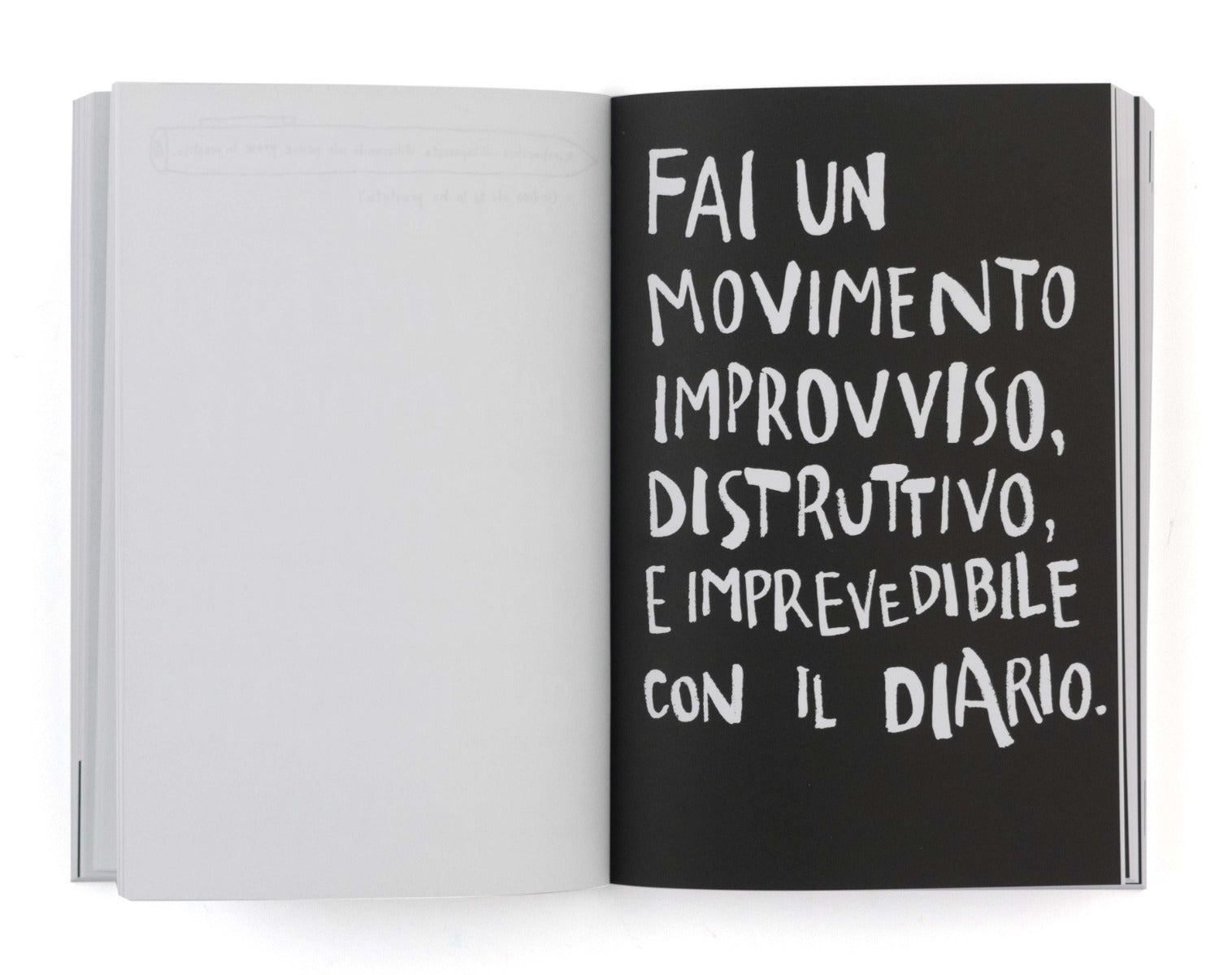 Distruggi questo diario (grande)