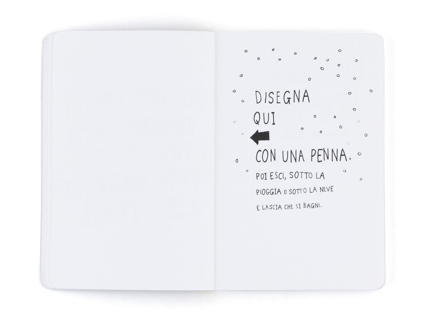 Distruggi questo diario (dove vuoi)
