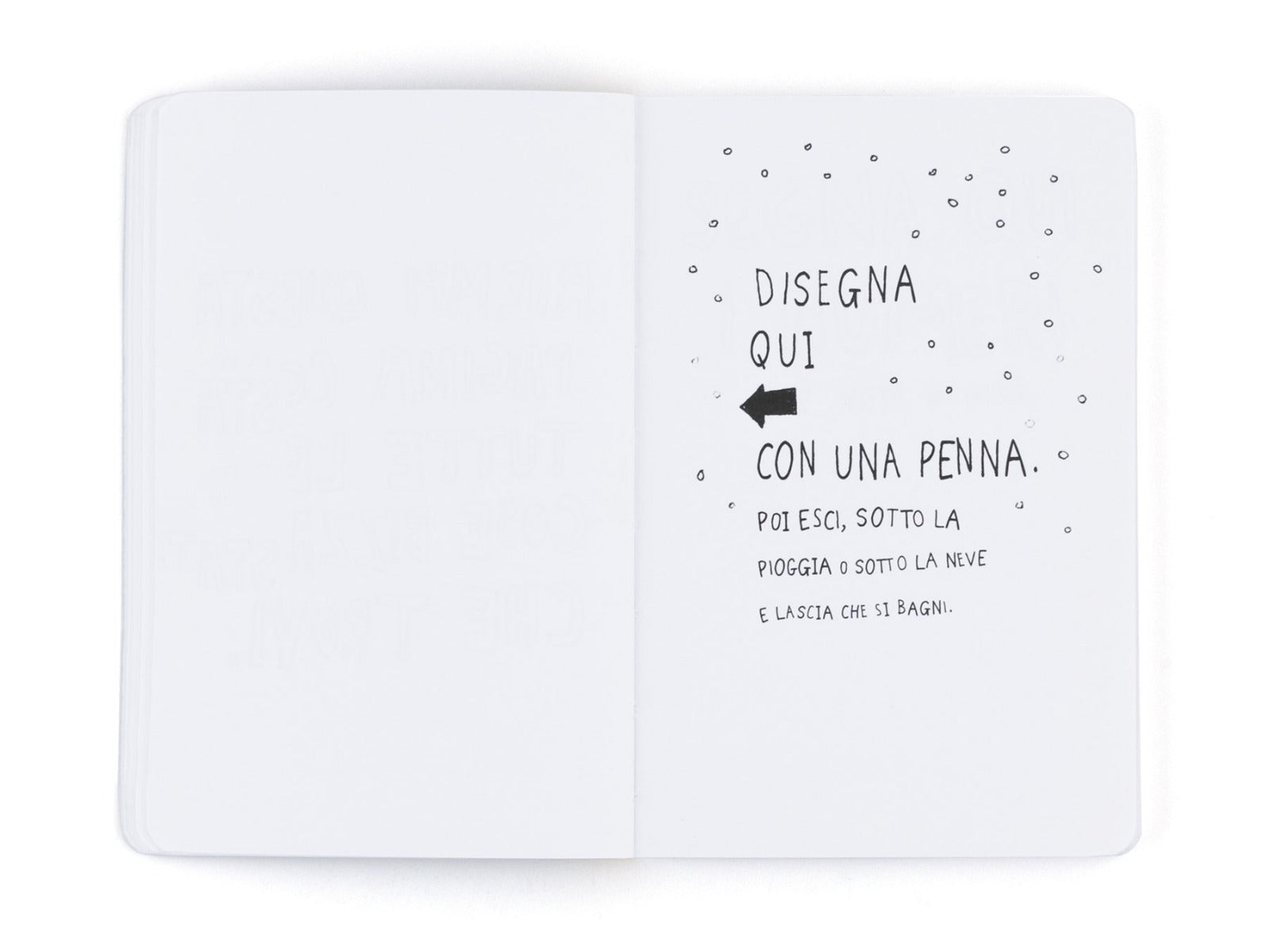 Distruggi questo diario (dove vuoi)