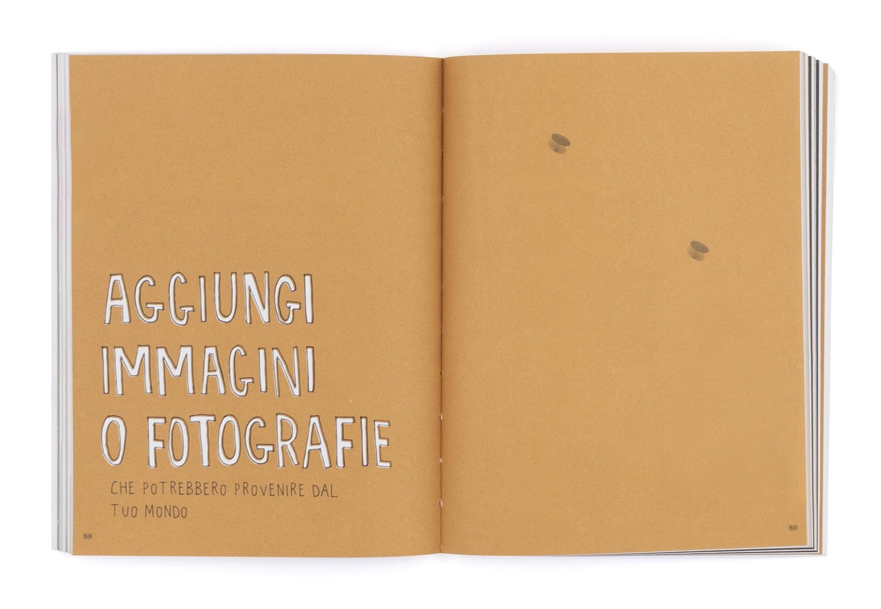 Il mondo immaginario di...