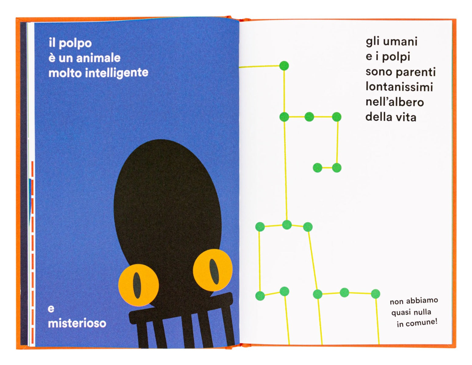 Tante intelligenze