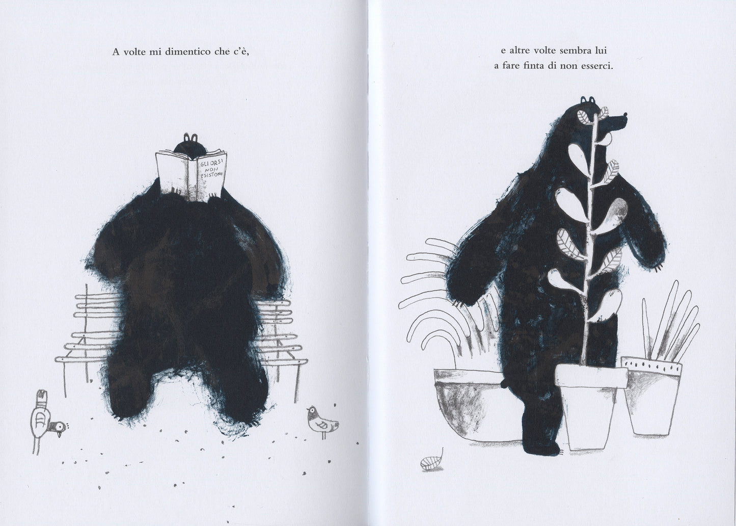 Un orso sullo stomaco