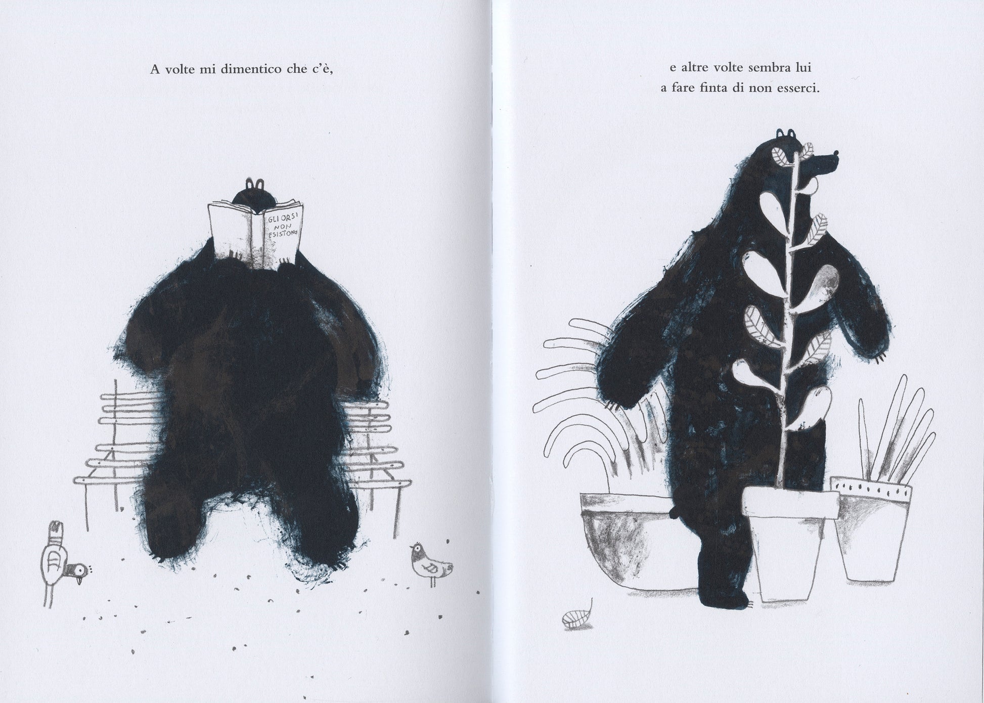 Un orso sullo stomaco