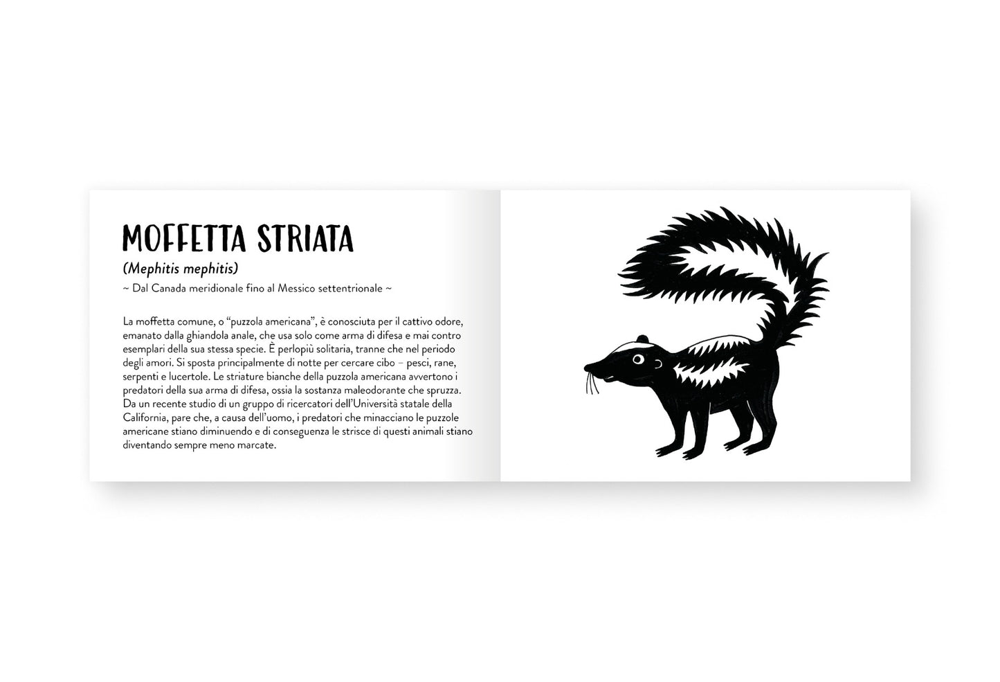 Il piccolo libro degli animali bianchi e neri