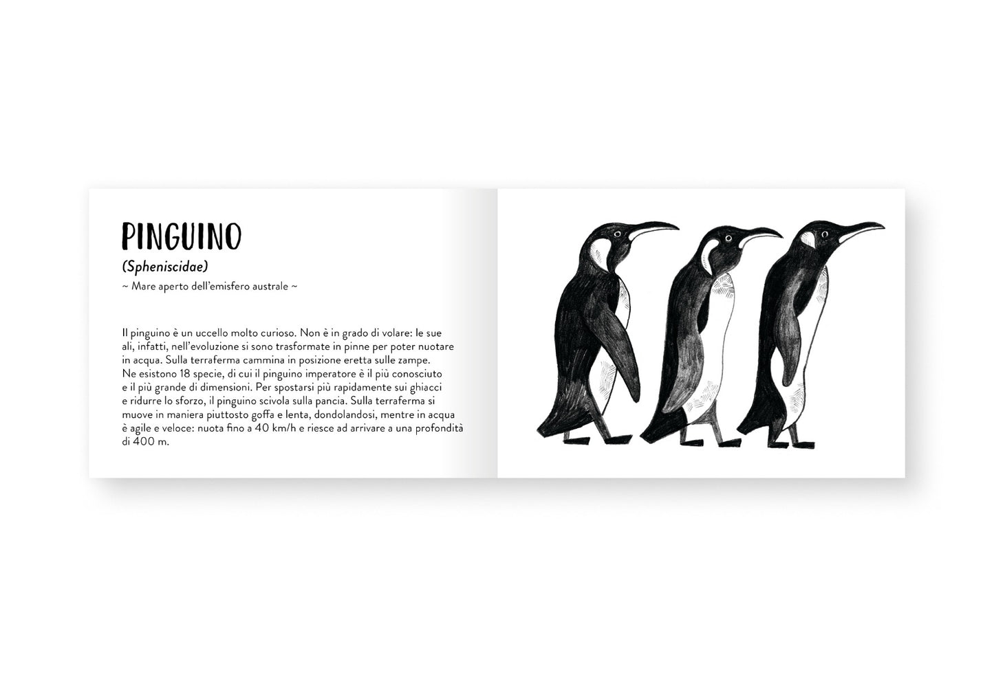 Il piccolo libro degli animali bianchi e neri