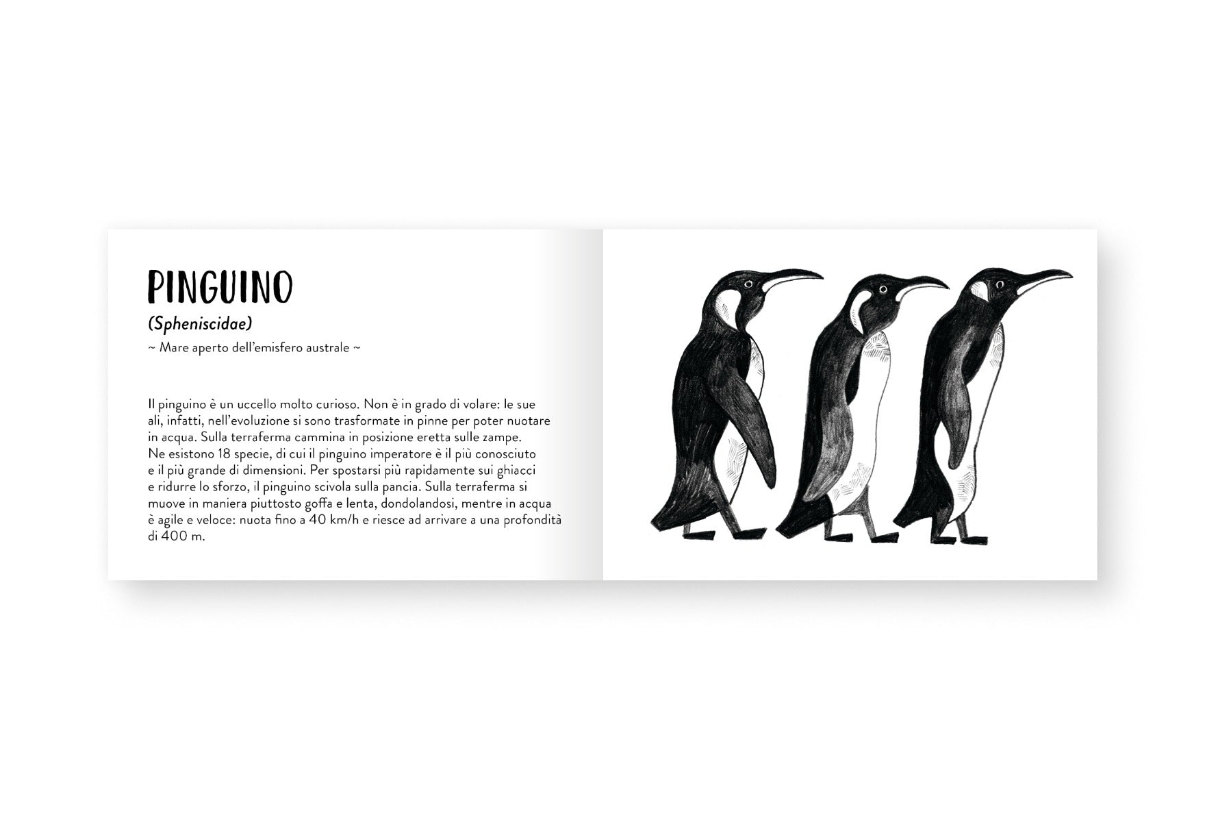 Il piccolo libro degli animali bianchi e neri