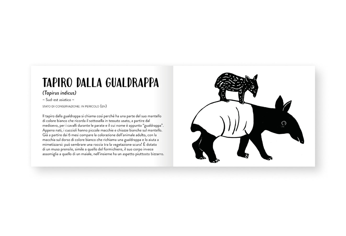 Il piccolo libro degli animali bianchi e neri