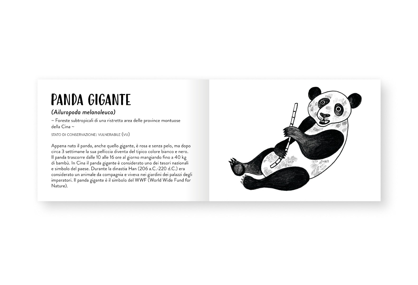 Il piccolo libro degli animali bianchi e neri