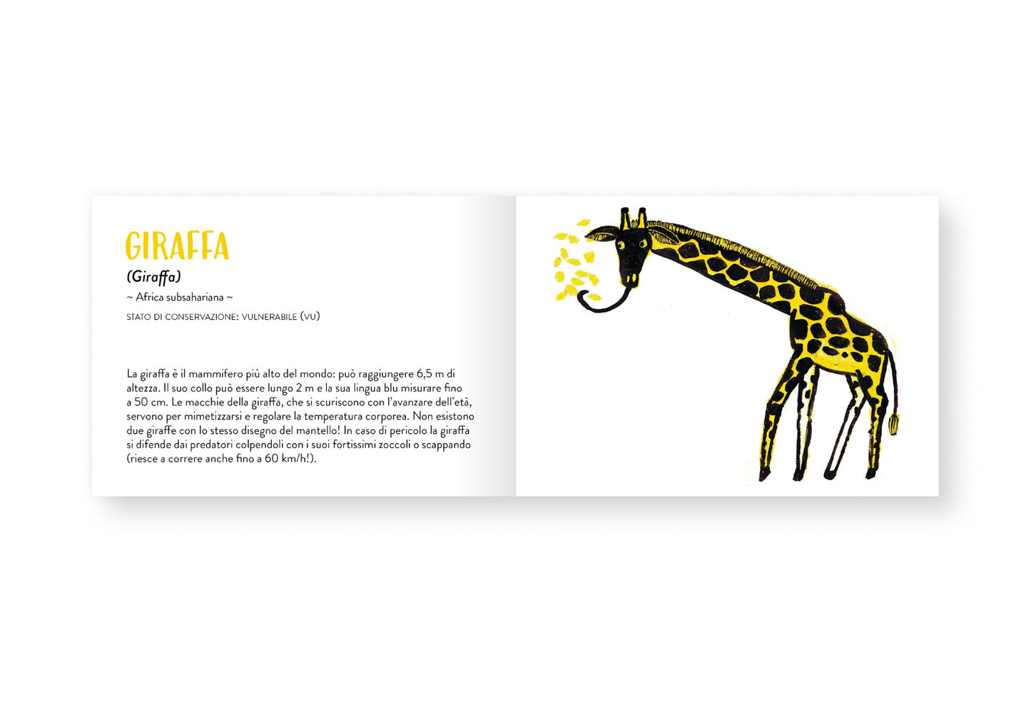 Il piccolo libro degli animali gialli