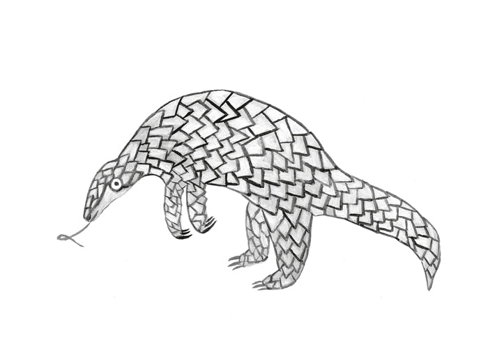 Il piccolo libro degli animali grigi