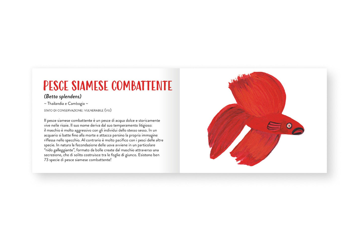 Il piccolo libro degli animali rossi
