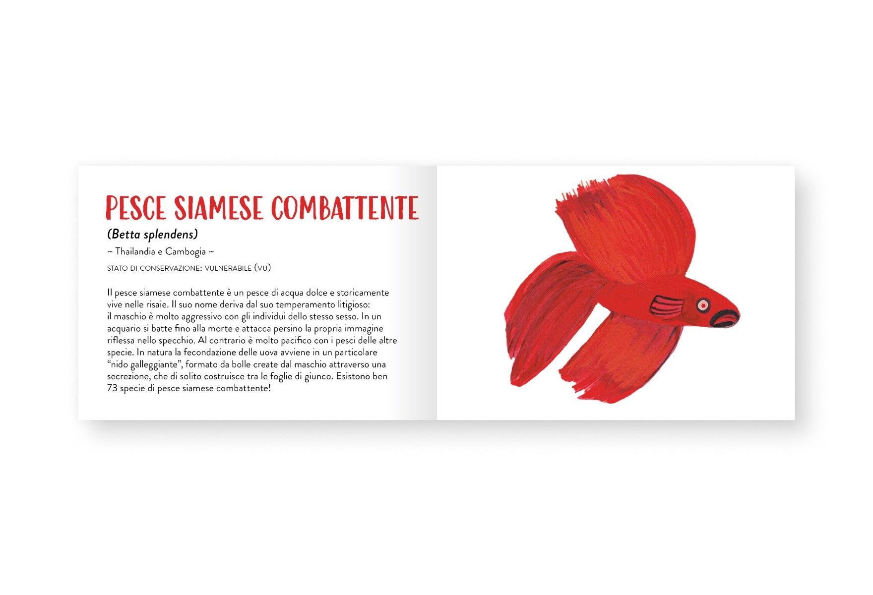 Il piccolo libro degli animali rossi
