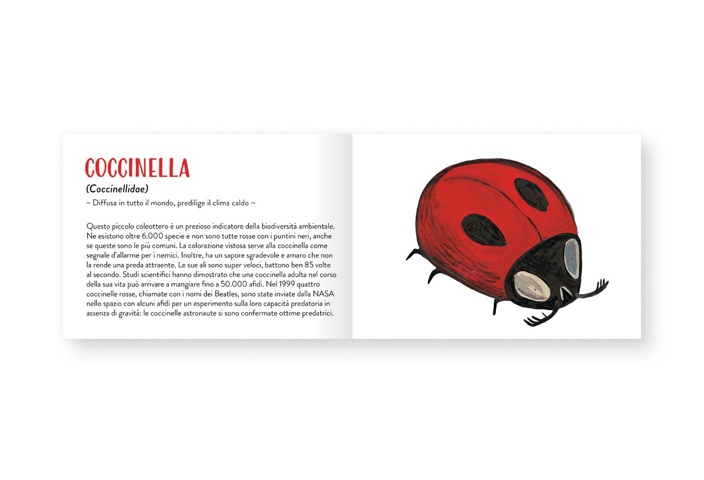 Il piccolo libro degli animali rossi