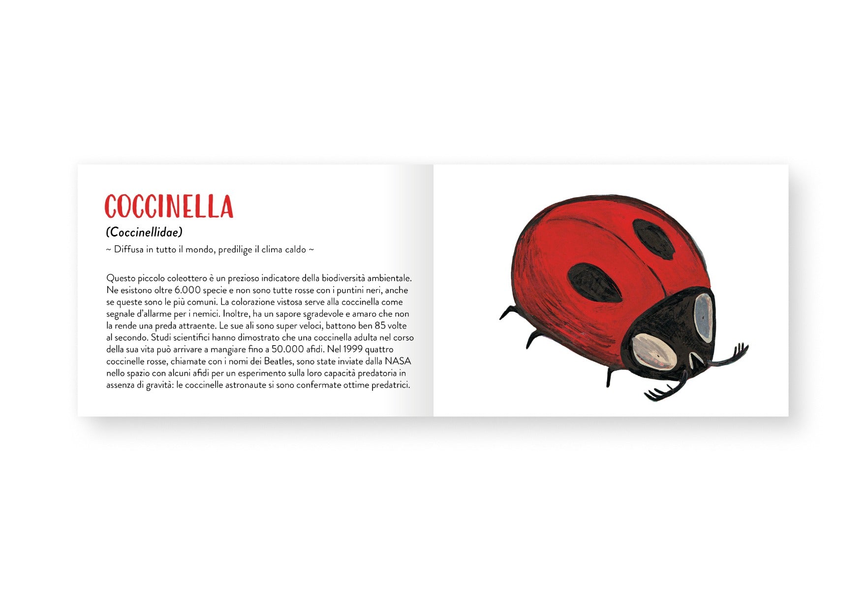 Il piccolo libro degli animali rossi